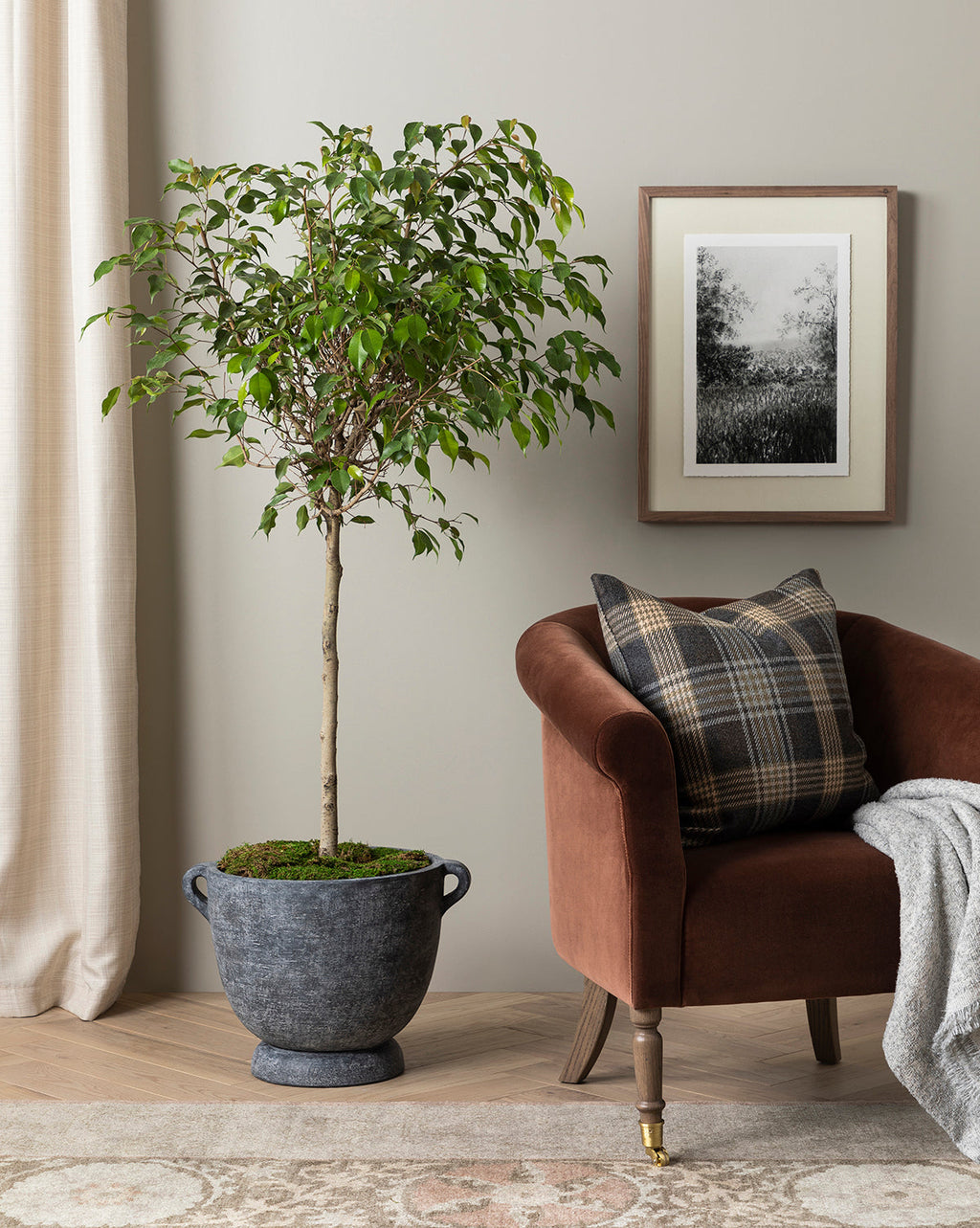 Fauteuil de salon rembourré traditionnel avec éléments incurvés pour le salon