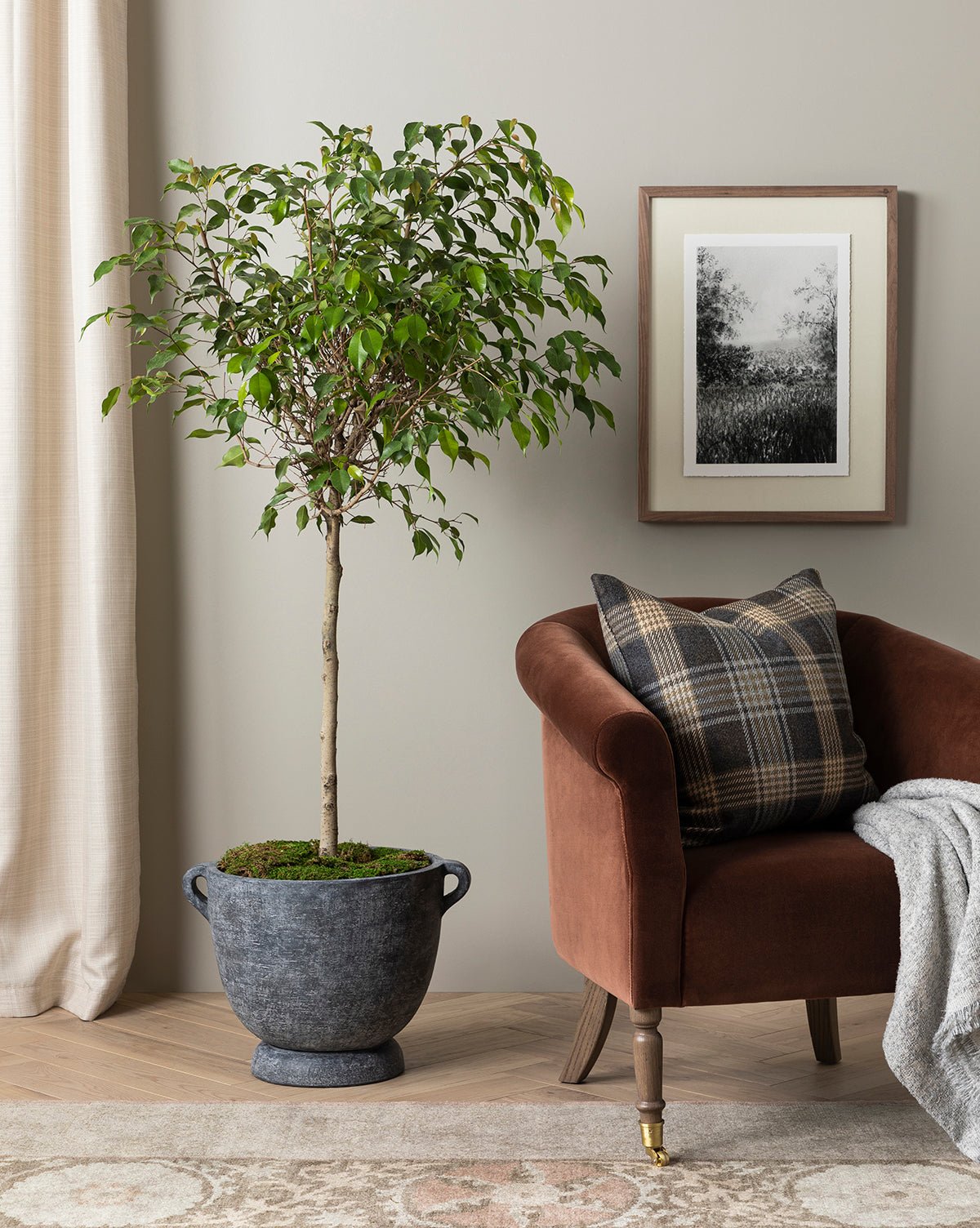 Fauteuil de salon rembourré traditionnel avec éléments incurvés pour le salon