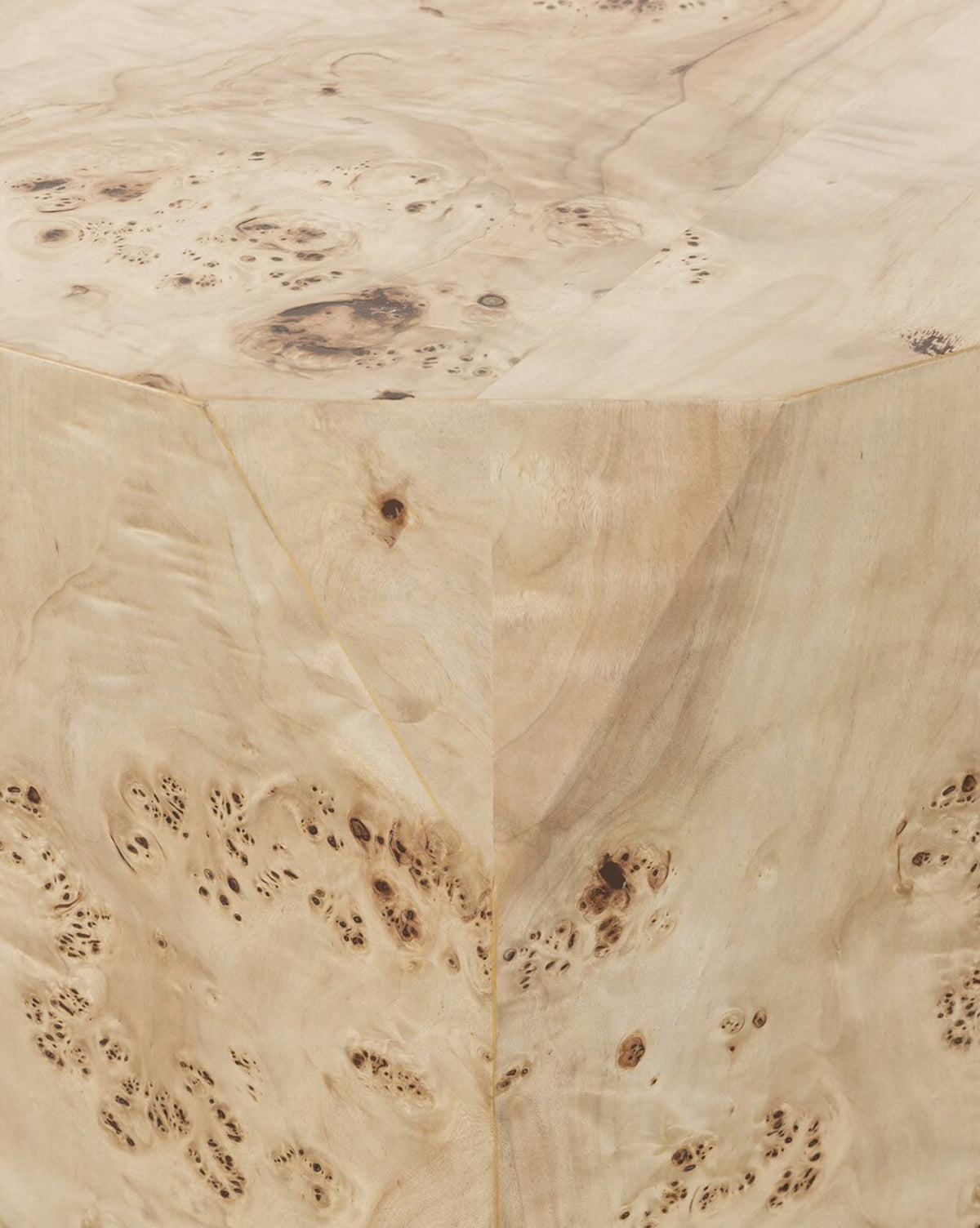 Table basse contemporaine en loupe de peuplier avec texture riche et présence audacieuse pour le salon