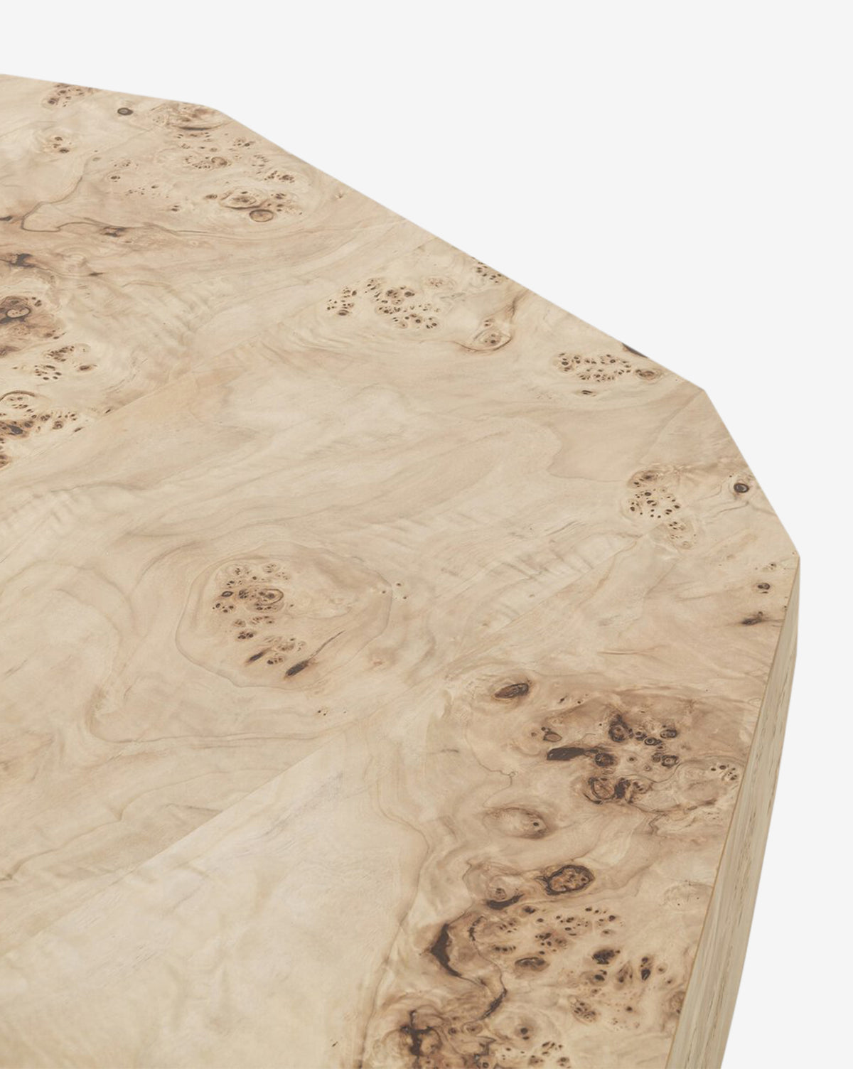 Table basse contemporaine en loupe de peuplier avec texture riche et présence audacieuse pour le salon